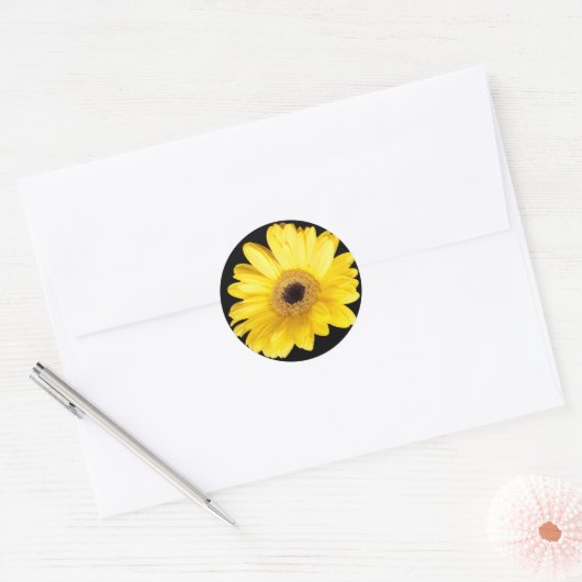 Gele Gerber Daisy Close Foto Ronde Sticker (Envelop)