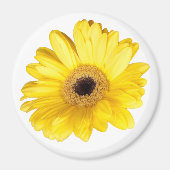 Gele Gerber Daisy Flower Close-up foto Magneet (Voorkant)