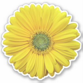 Gele Gerber Daisy Flower Kiss-Cut Sticker