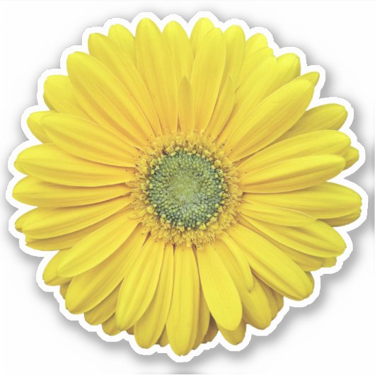 Gele Gerber Daisy Flower Kiss-Cut Sticker (Voorkant)