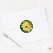 Gele Gerber Daisy Sticker (Envelop)