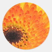 Gele Gerber Stickers (Voorkant)