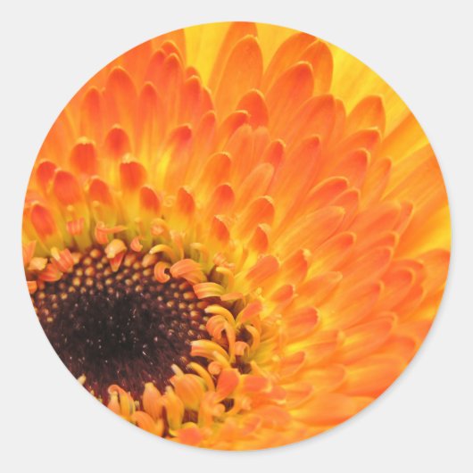 Gele Gerber Stickers (Voorkant)