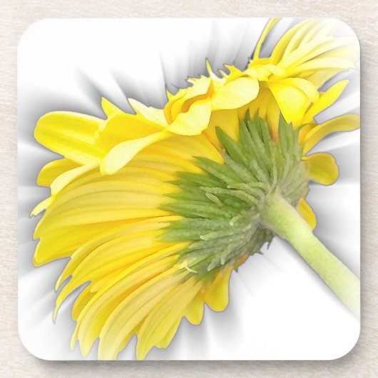 gele gerbera daisy bier onderzetter (Voorkant)