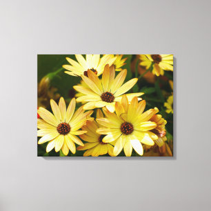 Gele Gerbera Daisy Bloemen Canvas Art