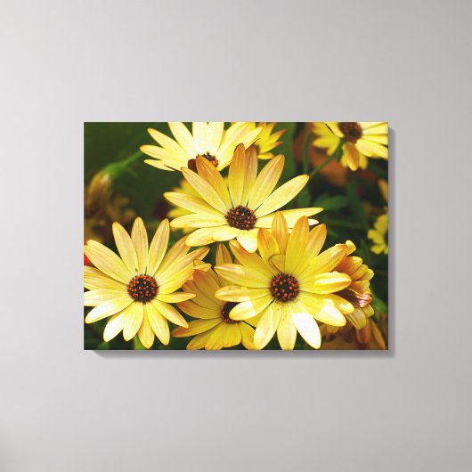 Gele Gerbera Daisy Bloemen Canvas Art Afdruk (Voorkant)