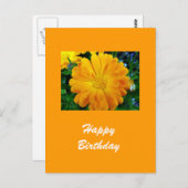 Gele Gerbera Daisy Flower Briefkaart (Voorkant / Achterkant)