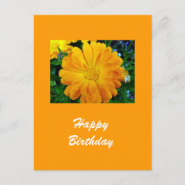 Gele Gerbera Daisy Flower Briefkaart