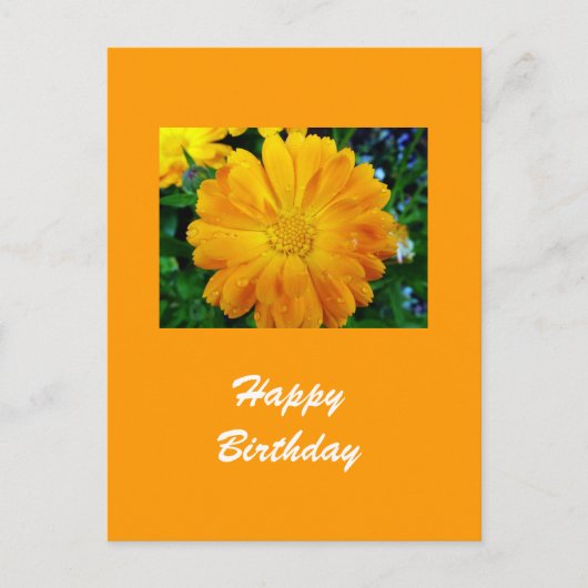 Gele Gerbera Daisy Flower Briefkaart (Voorkant)