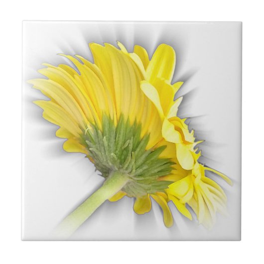 gele gerbera daisy tegeltje (Voorkant)