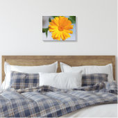 Gele Gerbera Daisy Wildflower Canvas Afdruk (Insitu (Slaapkamer))