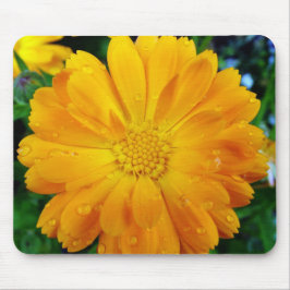 gele gerbera madeliefjesbloem muismat