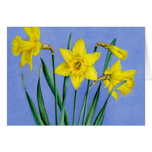 Gele geverfde waterverf Daffodils kunstkaart