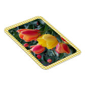 Gele Gingham Plaid Tulpen Tuinfoto Magneet (Rechterzijde)