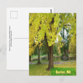 Gele Gingko Tree - Boston Public Garden Briefkaart (Voorkant / Achterkant)