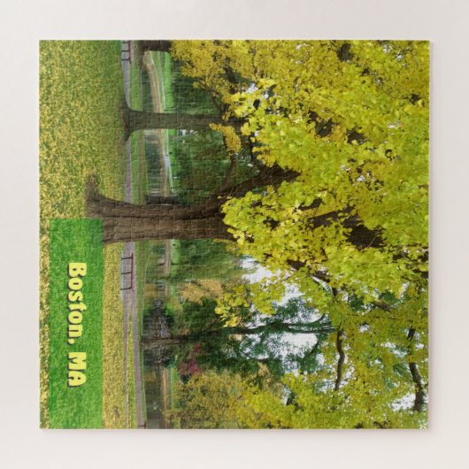 Gele Gingko Tree - Boston Public Garden Legpuzzel (Horizontaal)