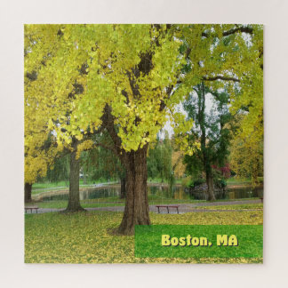 Gele Gingko Tree - Boston Public Garden Legpuzzel