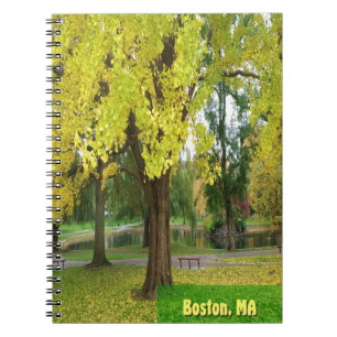 Gele Gingko Tree - Boston Public Garden Notitieboek