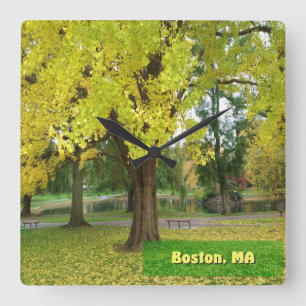 Gele Gingko Tree - Boston Public Garden Vierkante Klok
