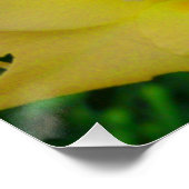 Gele Gladiola Poster (Hoek)