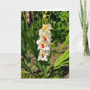 Gele gladiolus in mijn tuin kaart