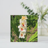 Gele gladiolus in mijn tuin kaart (Staand voorkant)