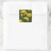 Gele Globeflower Stickers (Tas)