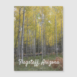 Gele gloed van Aspen