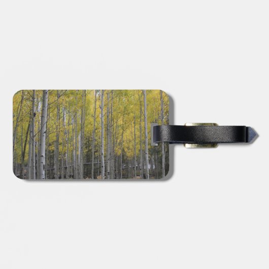 Gele gloed van Aspen Bagagelabel (Achterkant horizontaal)