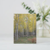 Gele gloed van Aspen Briefkaart (Staand voorkant)