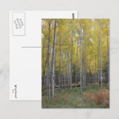 Gele gloed van Aspen Briefkaart (Voorkant / Achterkant)