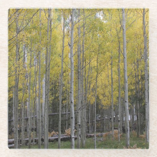 Gele gloed van Aspen Glazen Onderzetter (Voorkant)