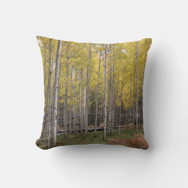 Gele gloed van Aspen Kussen (Voorkant)