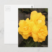 Gele goudbloemen briefkaart (Voorkant / Achterkant)