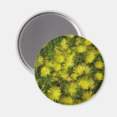 Gele gouden bloemen voor Plant Magneet (Voorkant / Achterkant)