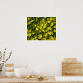 Gele gouden bloemen voor Plant Poster (Keuken)