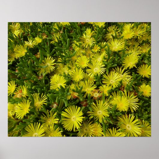 Gele gouden bloemen voor Plant Poster (Voorkant)