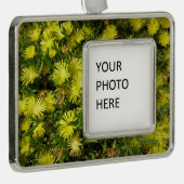 Gele gouden bloemen voor Plant Verzilverd Omlijst Ornament (Rechts)