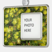 Gele gouden bloemen voor Plant Verzilverd Omlijst Ornament (Links)