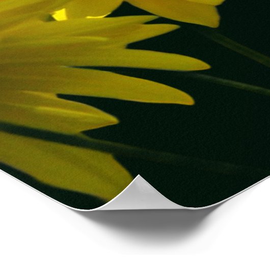 Gele goudgele bloemen in de zon poster (Hoek)