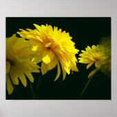Gele goudgele bloemen in de zon poster (Voorkant)