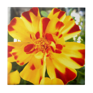 Gele goudsbloem met rode vlekjes Summer Flower Lov Tegeltje
