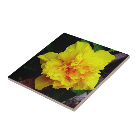 Gele granaatappelbloem tegeltje (Zijkant)