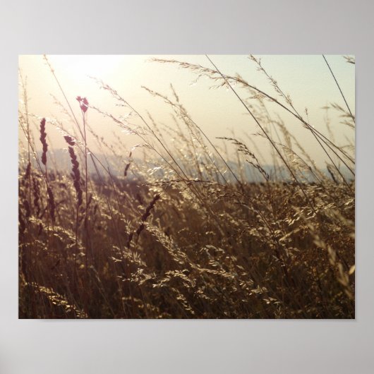 Gele grasvelden Natuur Poster Papier (Matte) (Voorkant)