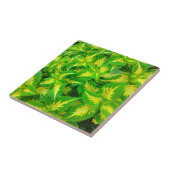 Gele groene Coleus Flower Tropical Tile Tegeltje (Zijkant)