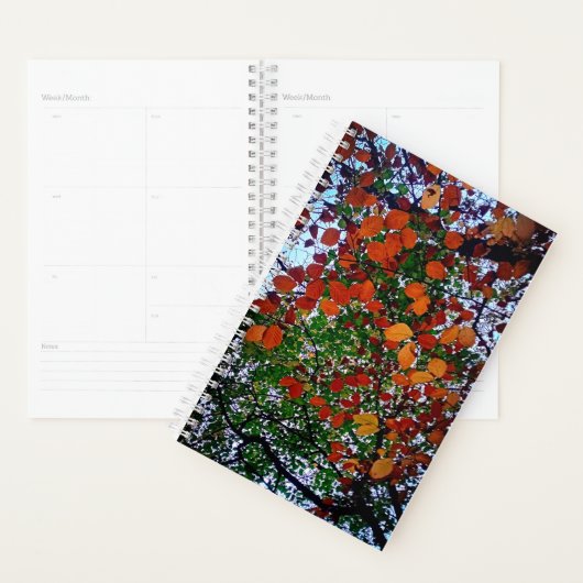 Gele, groene en bruine bladeren planner (Display)