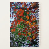 Gele, groene en bruine bladeren planner (Achterkant)