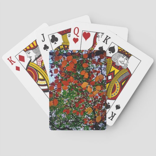 Gele, groene en bruine bladeren pokerkaarten (Achterkant)