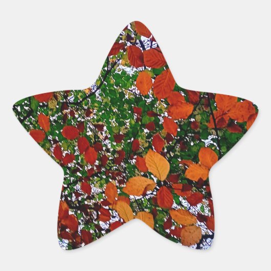 Gele, groene en bruine bladeren ster sticker (Voorkant)