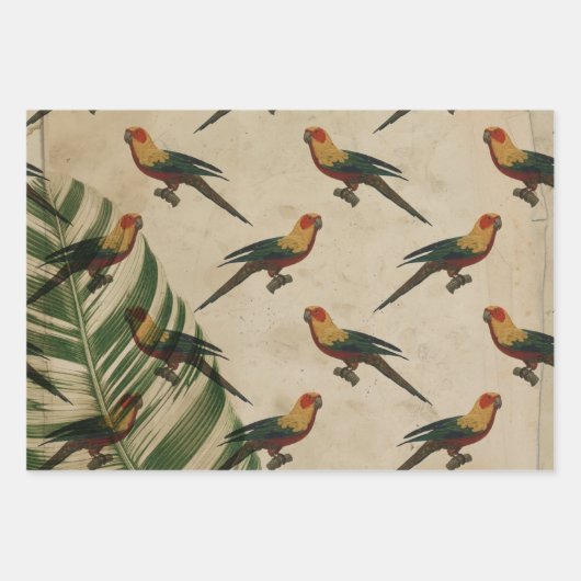  gele, groene en rode vogels inpakpapier vel (Voorkant 3)